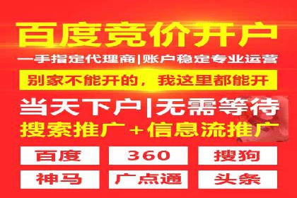 百度竞价价格策略，案例启示录